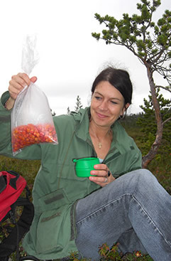 Maria med moltebær